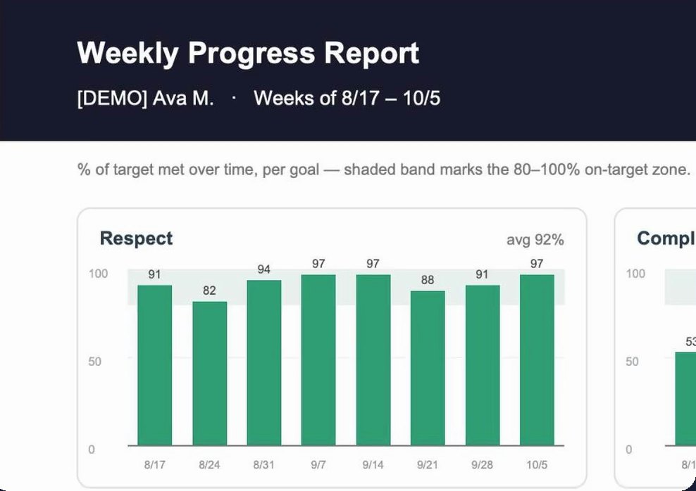 A weekly progress report PDF with a bar for each week